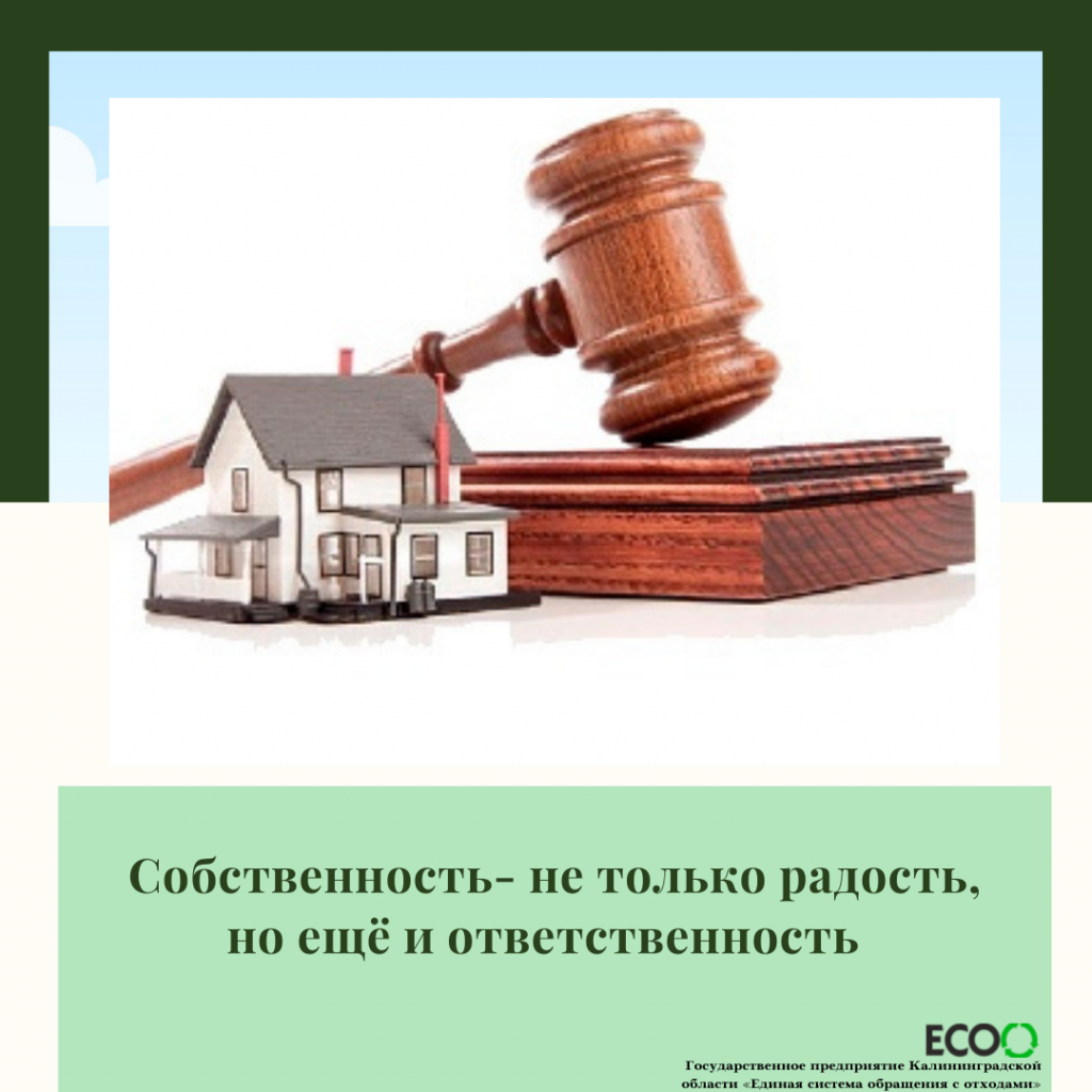 Собственность — это не только радость, но еще и ответственность. — ГП КО  